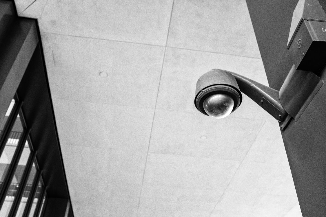 kamera IP do monitoringu
